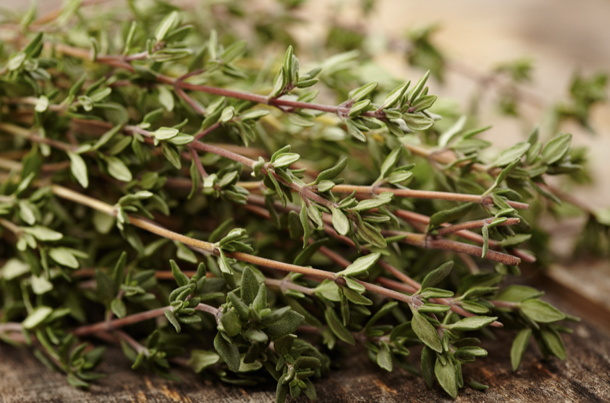 Thyme