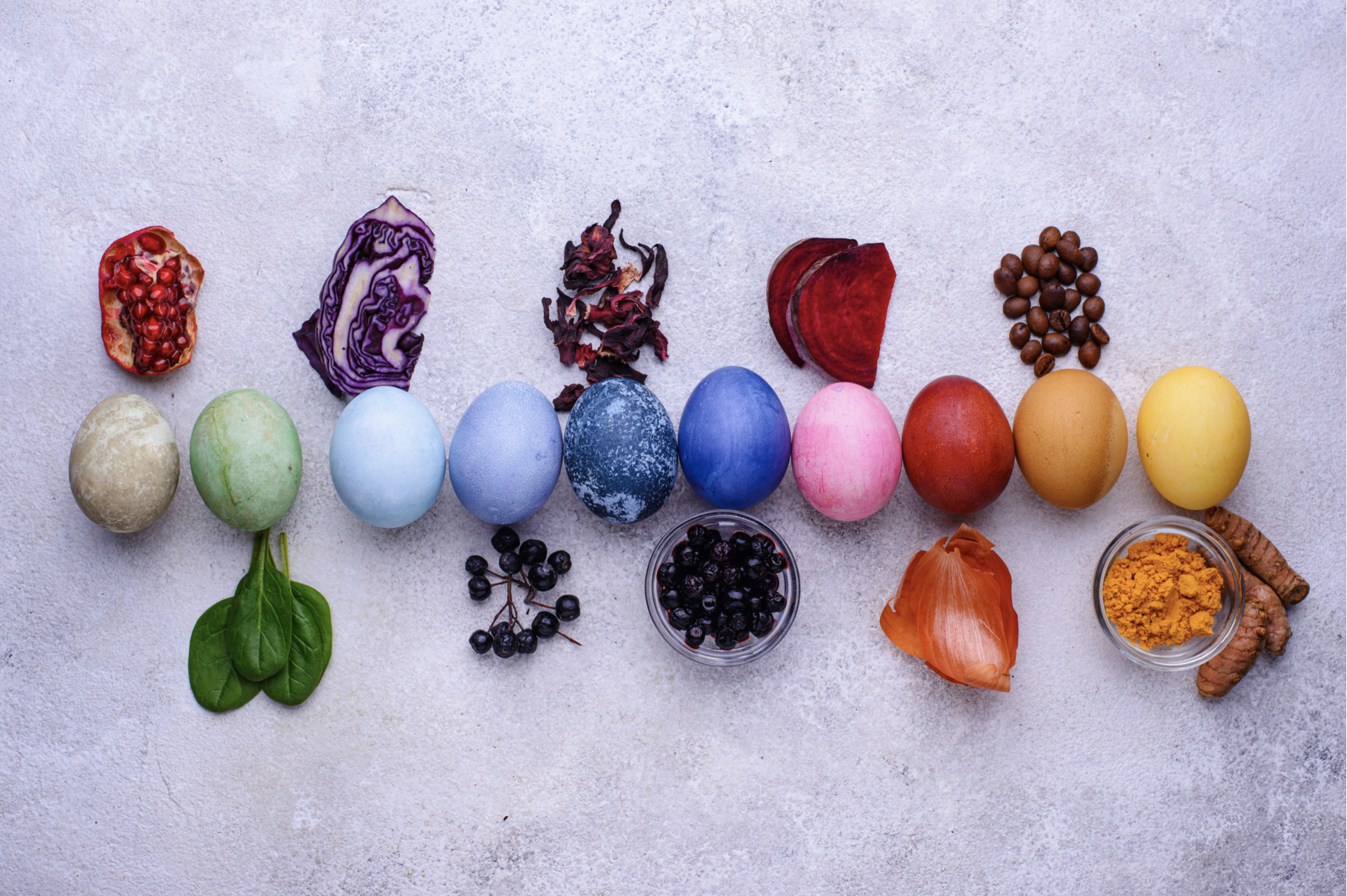 Dyed Botanical Eggs